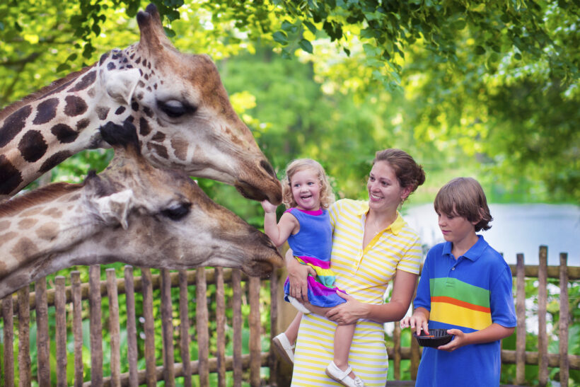 What Happens If I Get Injured at Riverbanks Zoo & Garden in Columbia, SC?